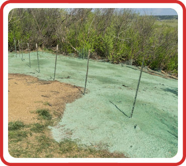 hydroseeding