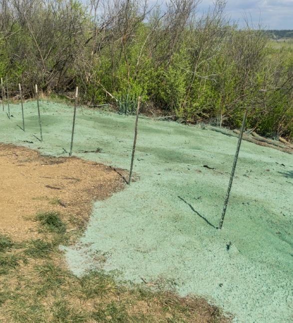 residential hydroseeding